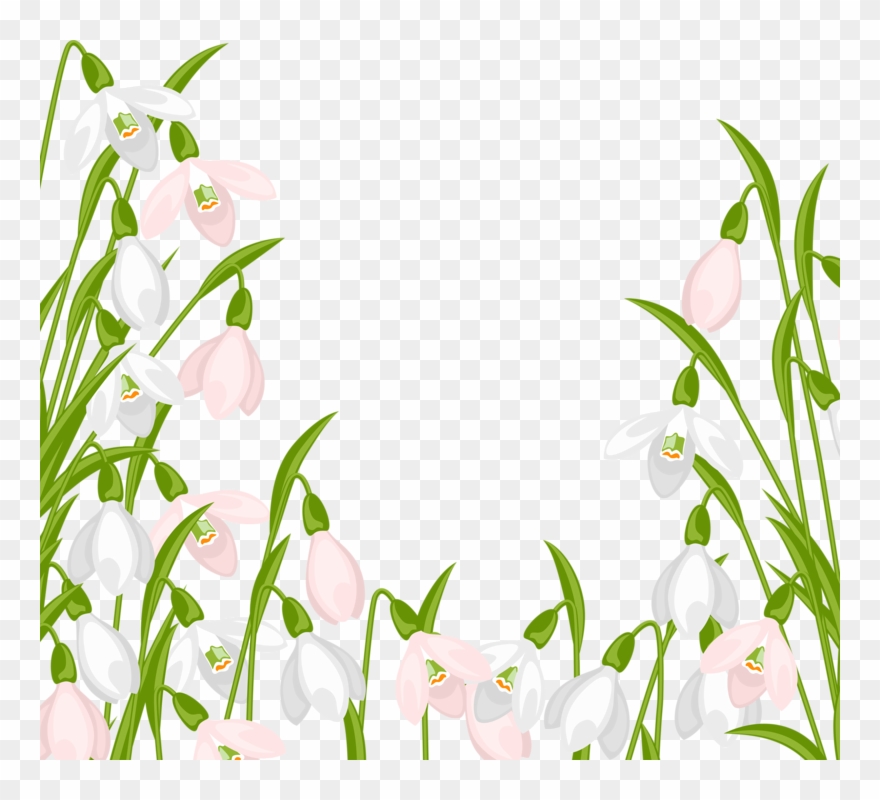 Http - //zezete2 - Centerblog - Net/m/46 - Html - Snowdrops Clipart Border - Png Download