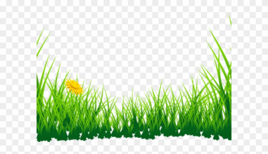 Grass Clipart Boarder - Green Grass Clipart Png Transparent Png