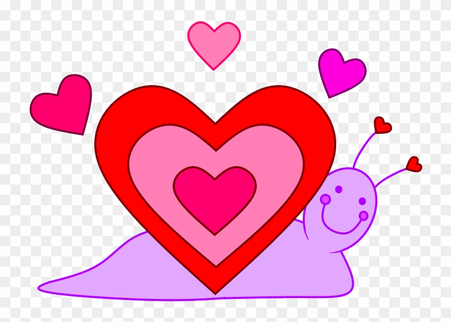 Slow Heart Tortoise's Belly Badge By Carebeargirl99 - Heart Rate Clipart