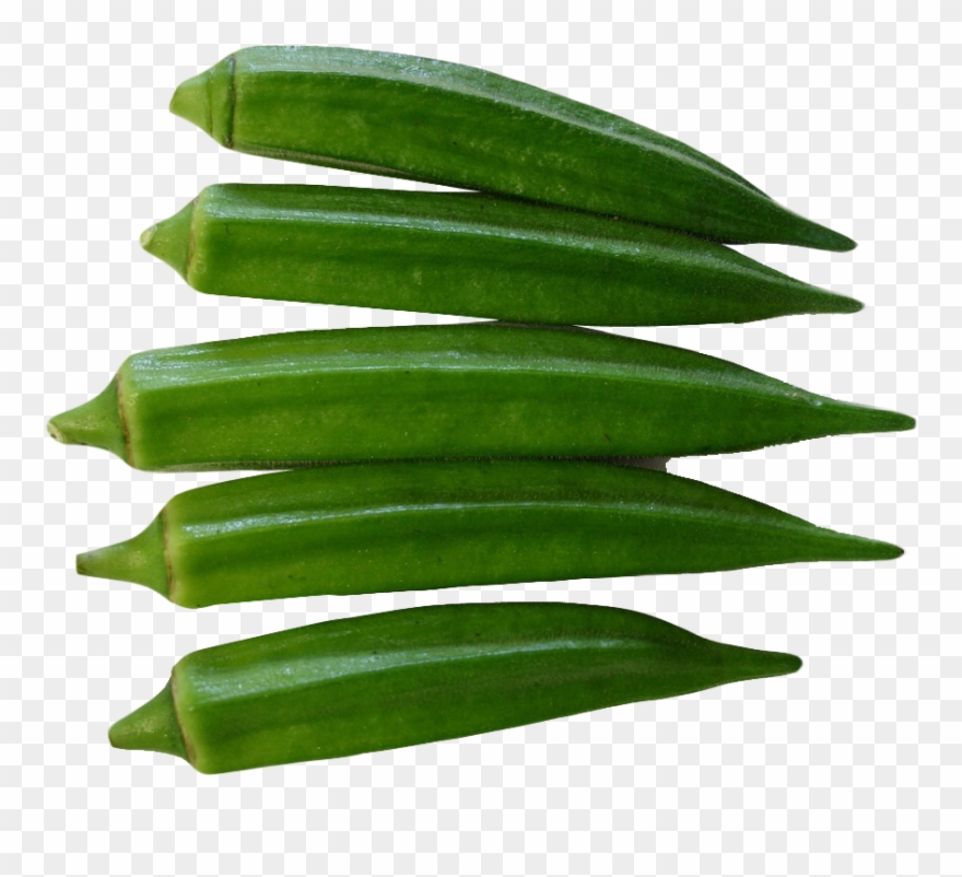 Corn Clipart Okra - Okra Png Transparent Png