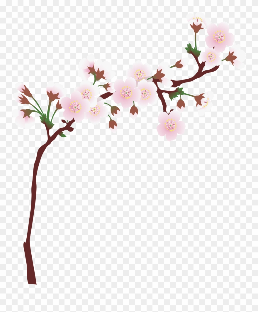 Graphic Library Download Branch Transparent Spring - Cherry Blossom Tree Branch Png Clipart