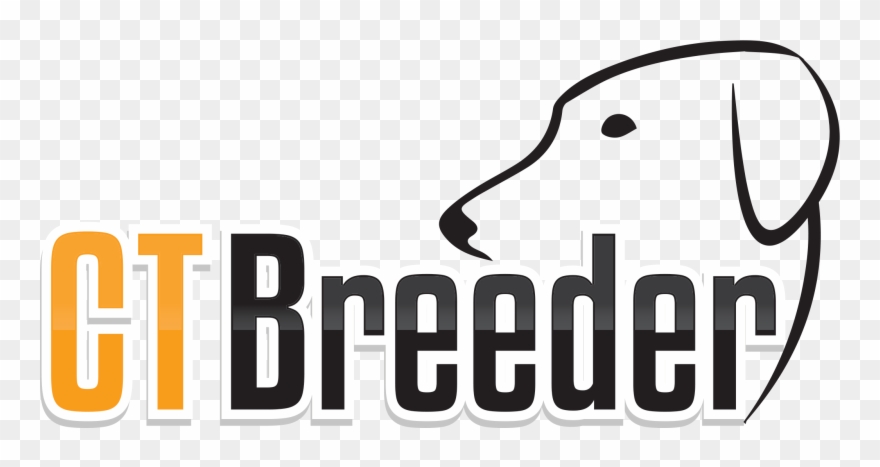 Graphic Design Clipart