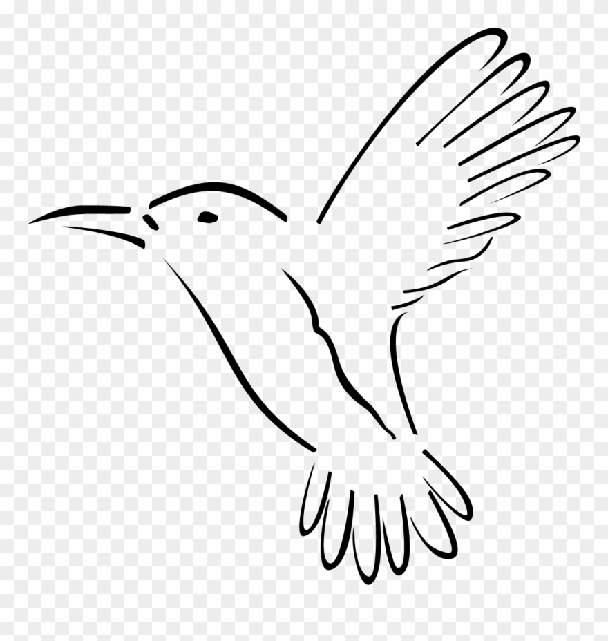 Kolibri Music Clipart