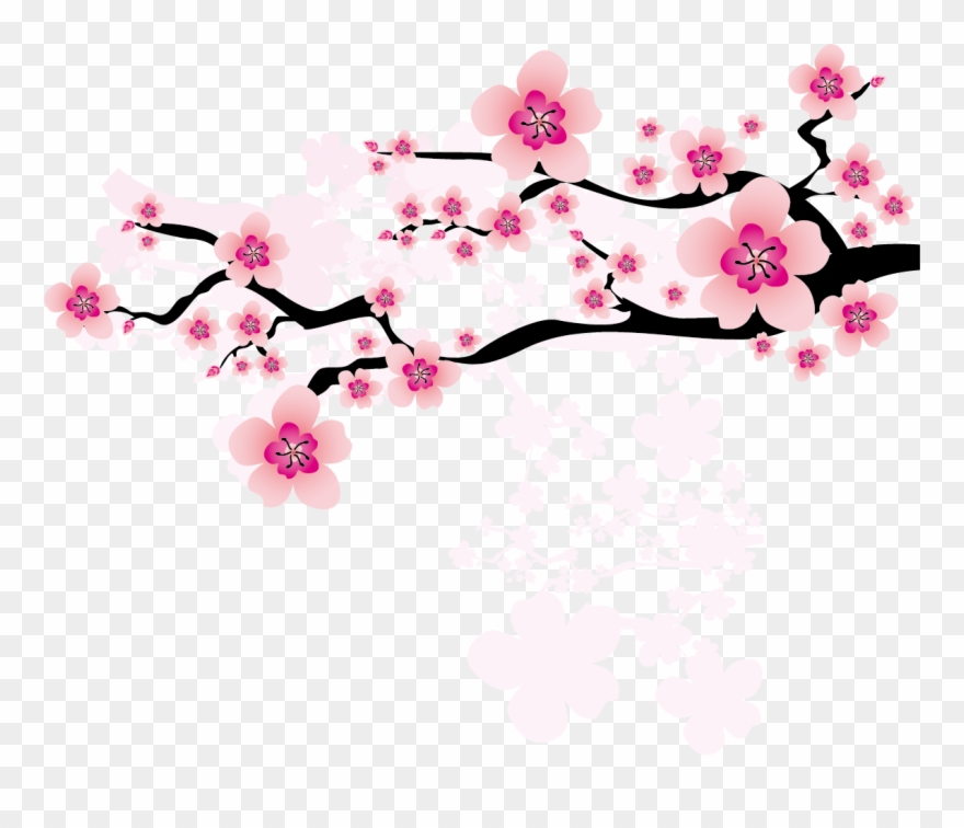 Ume Blossom Clipart Apricot Blossom - Japanese Cherry Blossom Art Png Transparent Png