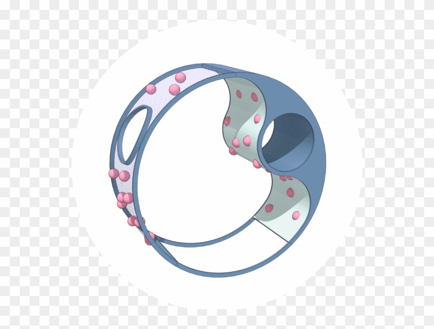 Discover The Clouds Collection Classified In Age Groups - Circle Clipart