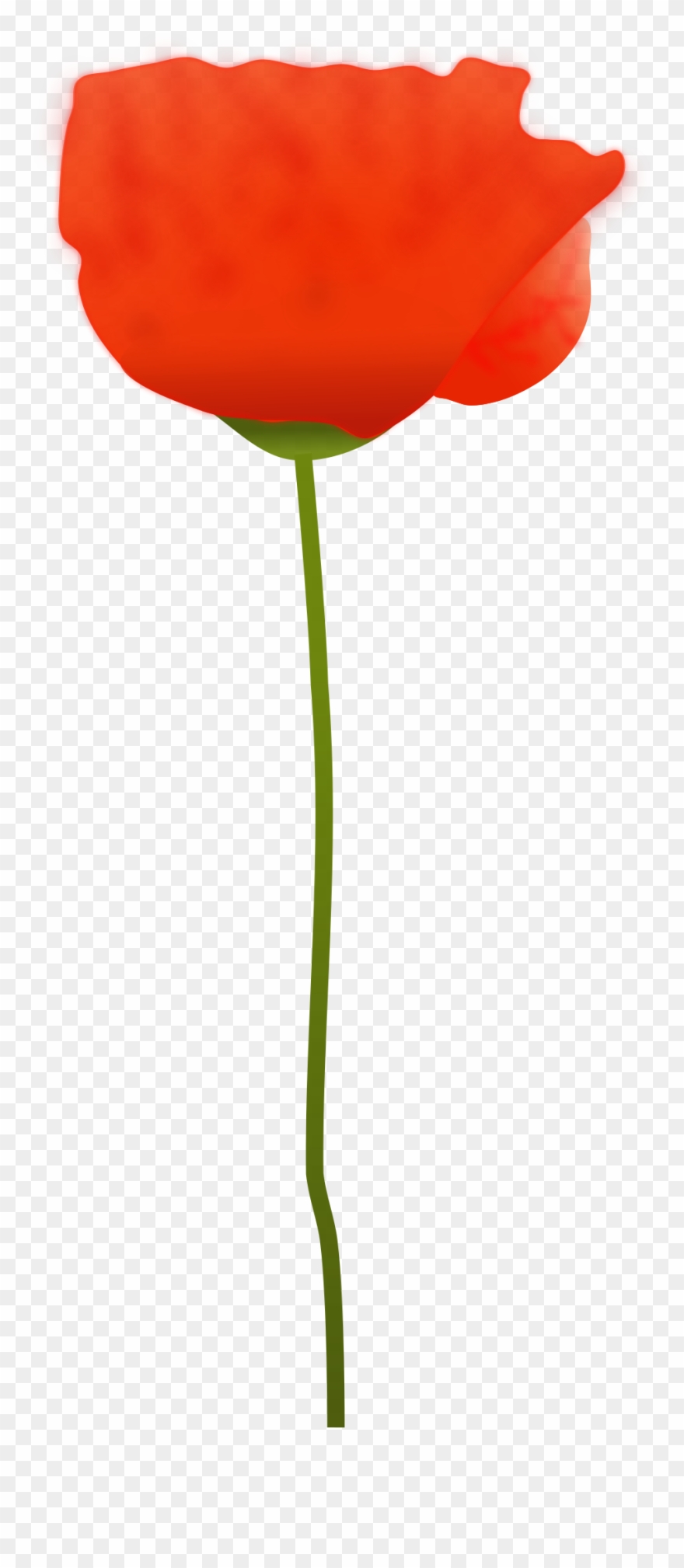 Big Image - Poppy Flower Clip Art - Png Download