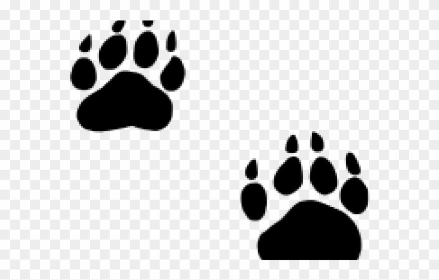 Grizzly Clipart Bobcat Footprint - Black Bear Paw Png Transparent Png