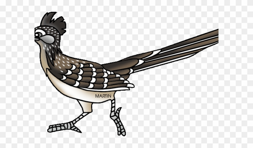 New Mexico Roadrunner Clipart
