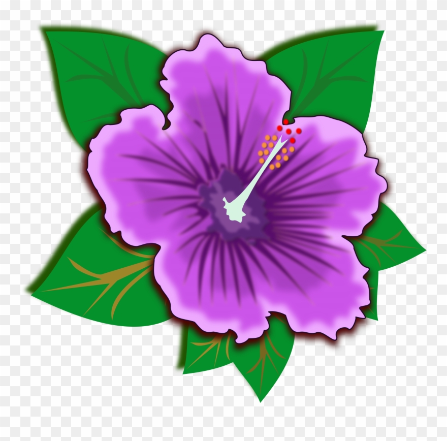 Purple Clipart - Rainforest Flower Clipart - Png Download