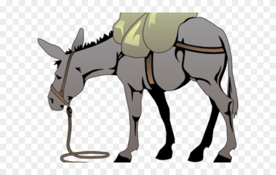 Donkey Clipart Bible - Mule Clipart For Donkey - Png Download