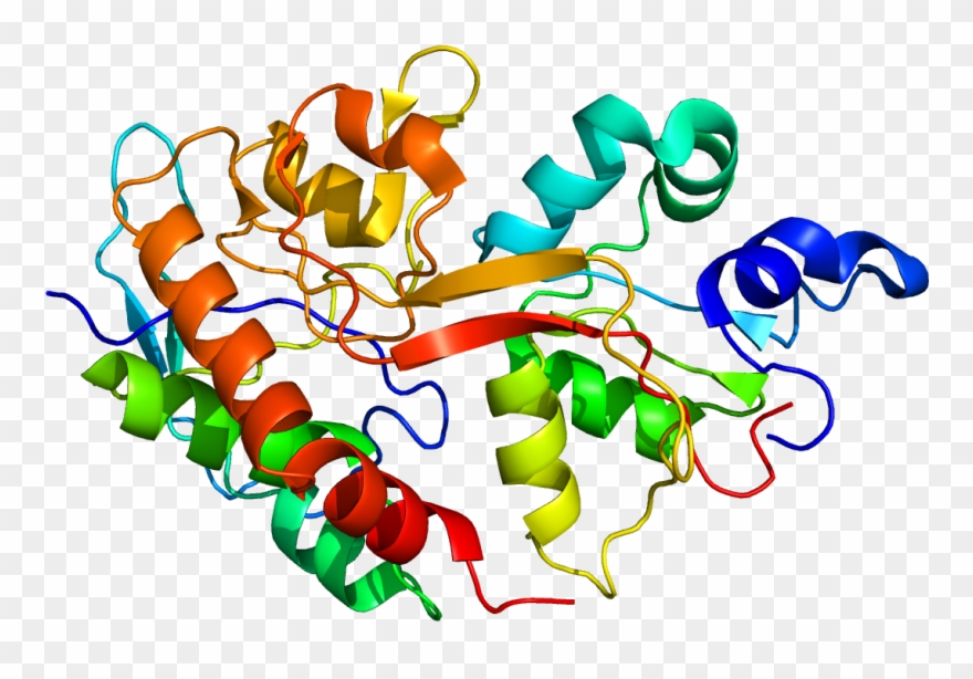 Graphic Design Clipart