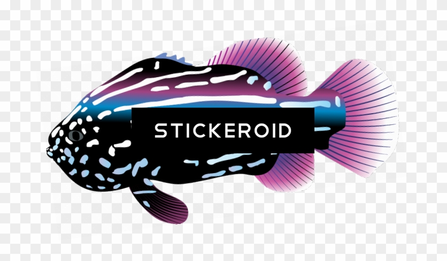 Ocean Fish - Decal Tropical Fish Aquarium Car Window Jet Ski D217 Clipart