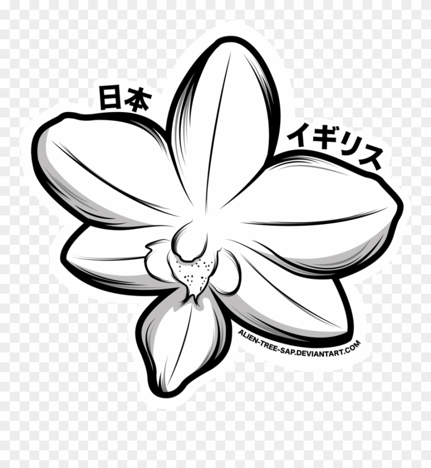 Gousicteco Line Art Images Graphic Royalty Free Stock - Orchid Flower Drawing Png Clipart