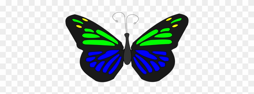 Monarch Butterfly Brush-footed Butterflies Animation - Animation Clipart