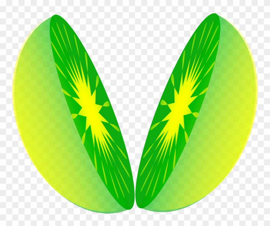 Lemon Slice Cut Image - One Half Fraction Clipart - Png Download