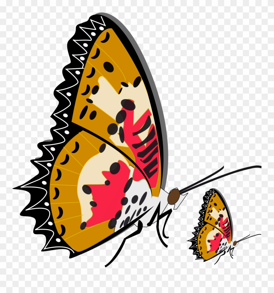 Monarch Butterfly Brush-footed Butterflies Insect Drawing - Mother And Baby Butterfly Shower Curtain Clipart