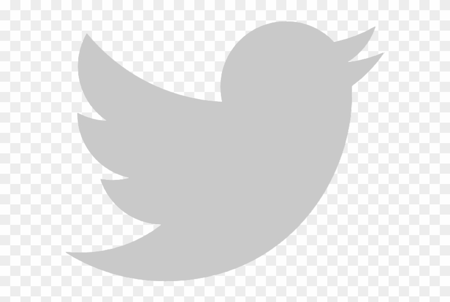 Twitter-01 - Gray Twitter Logo Png Clipart