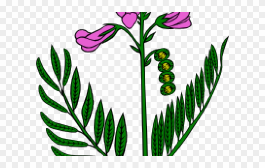 Snapdragon Clipart Cartoon - Snap Dragon Clip Art - Png Download