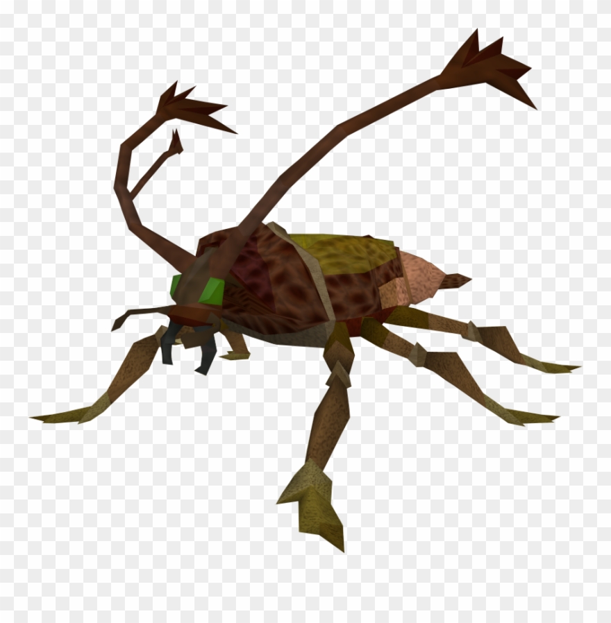 The Runescape Wiki - Cockroach Runescape Clipart