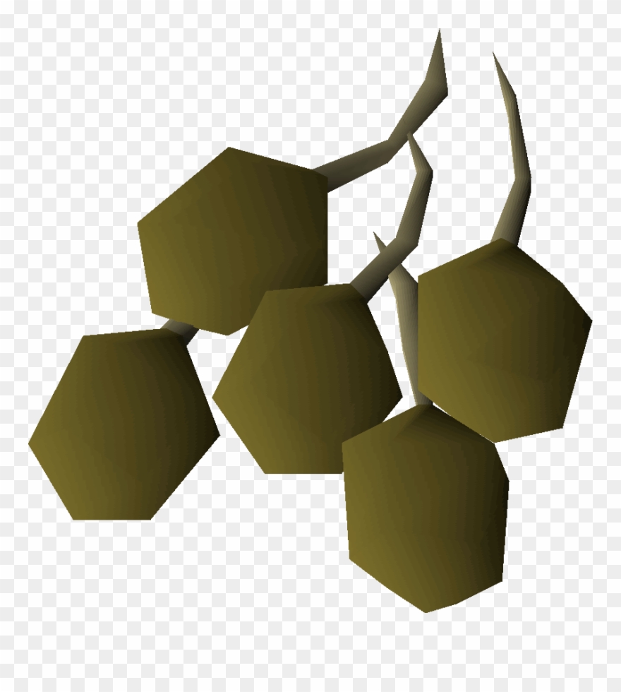 Potato Seeds Are The First Seeds Able To Be Grown In - Runescape Potato Seed Clipart