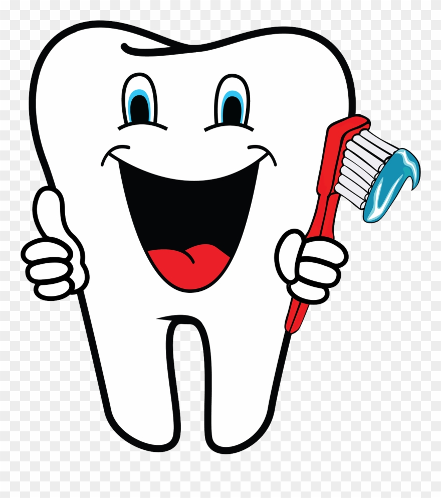 Human Dentistry Art Take - Tooth Clipart Dentist - Png Download