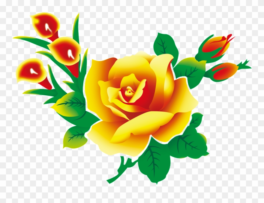 Calla Lily Beautiful Flowers Hand Painted - Flowers Psd Clipart