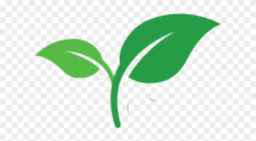 Seeds Clipart Plant Shoot - Plant Shoot Png Transparent Png