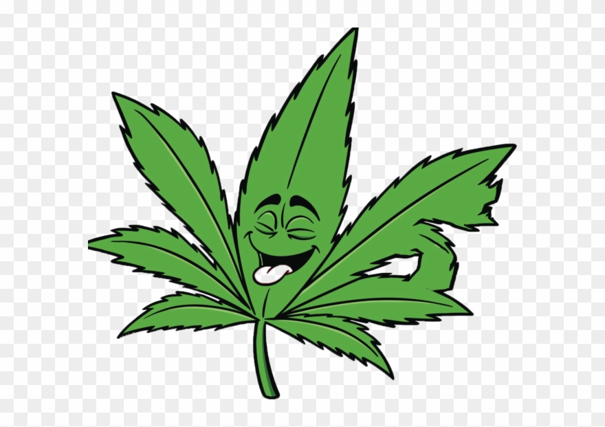 Best Grow Light Reviews What Are - Planta De Marihuanas Dibujo Clipart