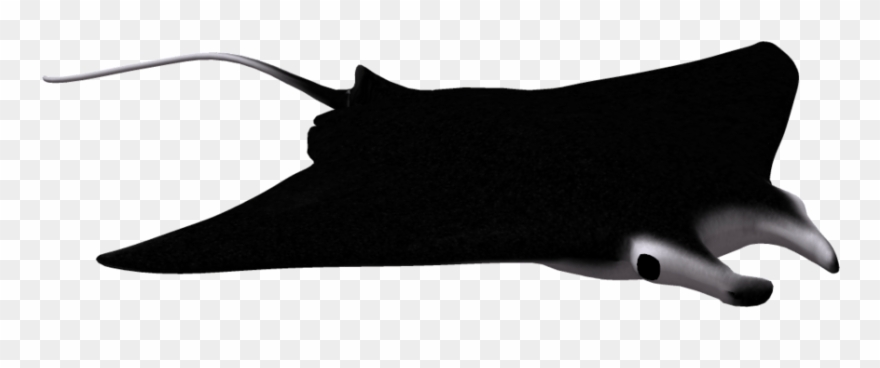 Manta - Giant Manta Ray Png Clipart