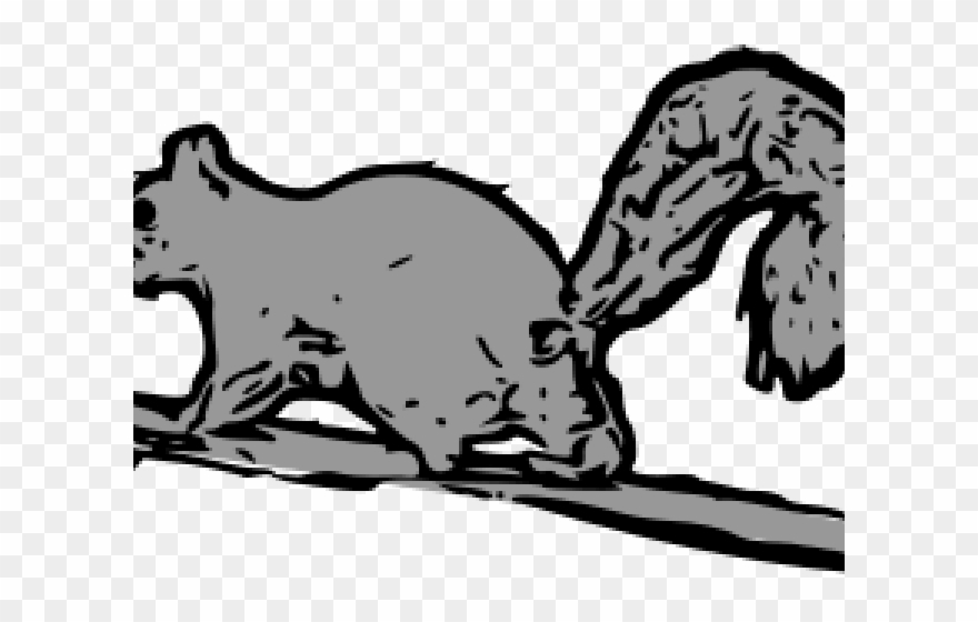 Gray Squirrel Clipart Nut - Squirrel - Png Download