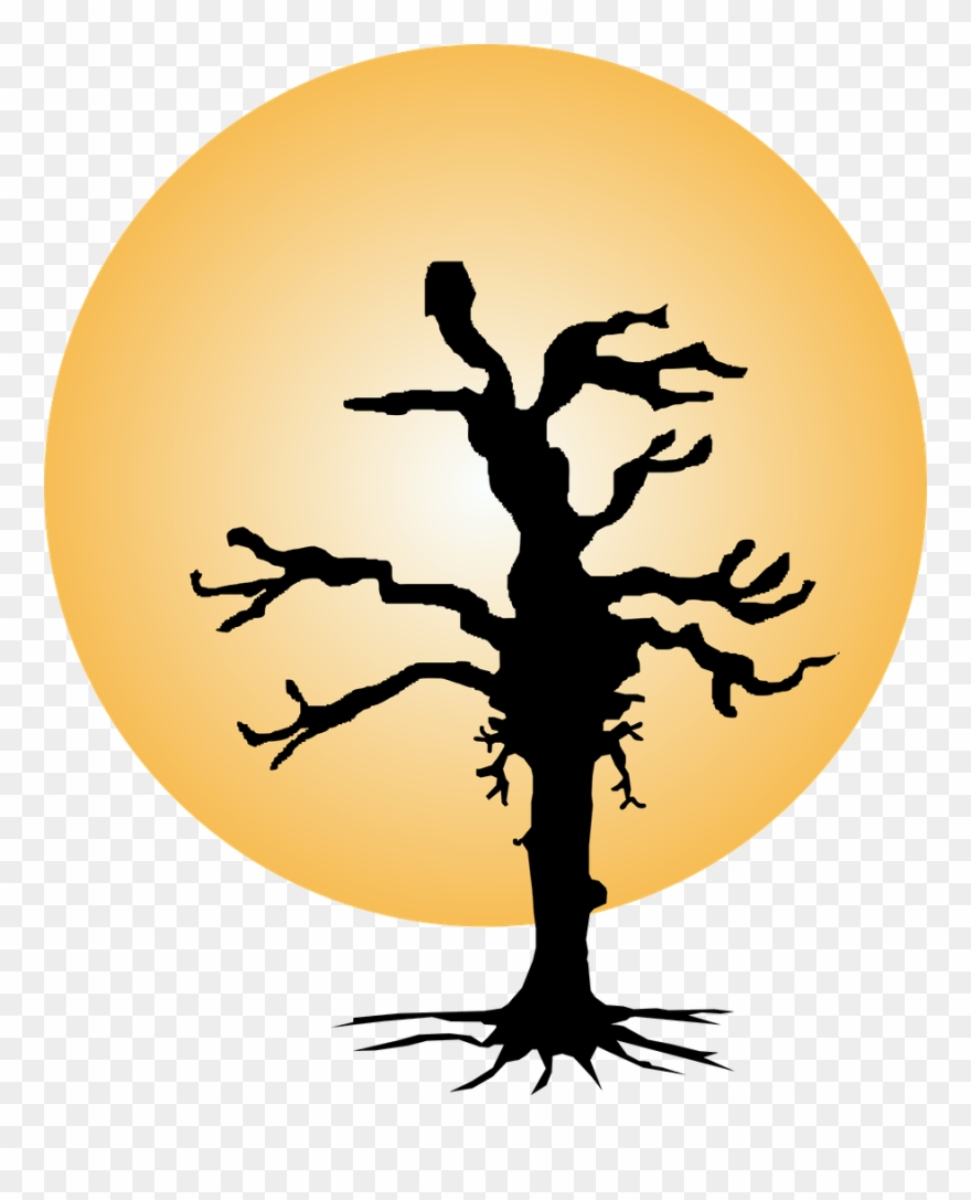 Corujas 2 - Minus - Illustration Clipart