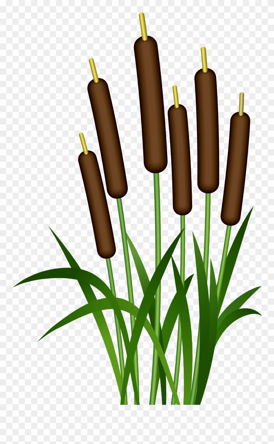 Clip Art - Png Download