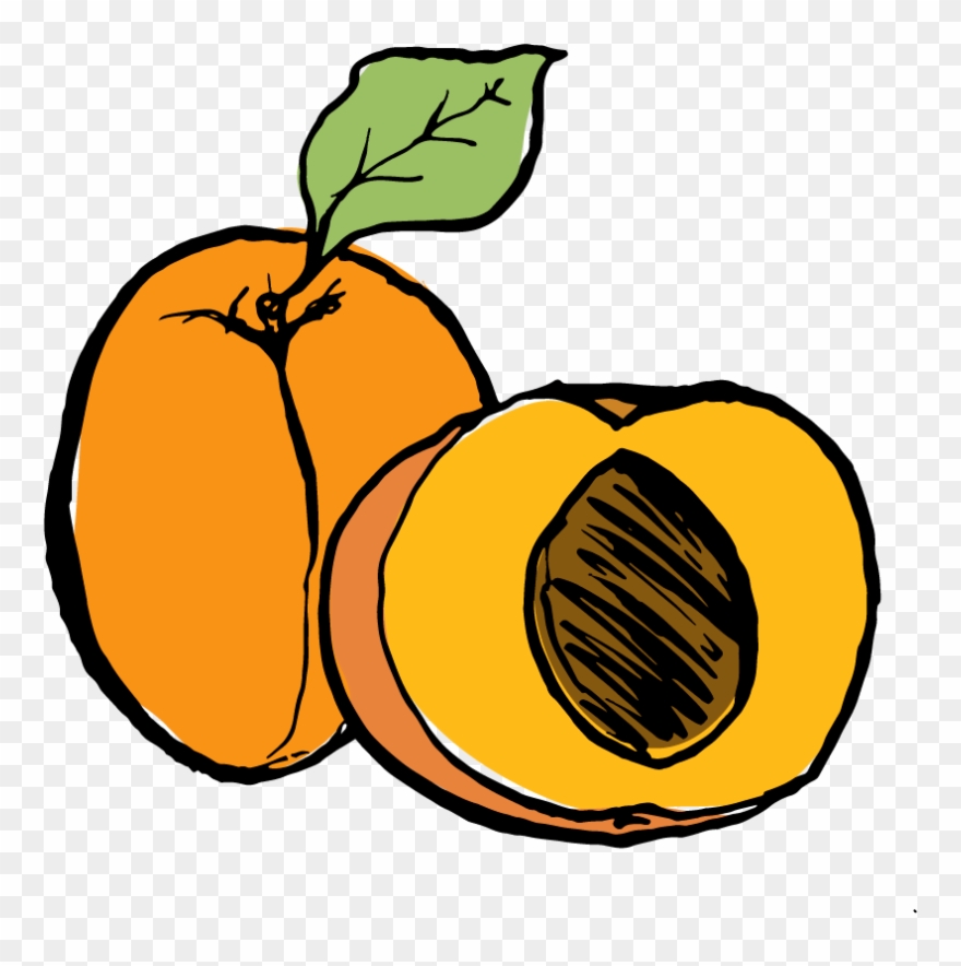 Apricot Clipart