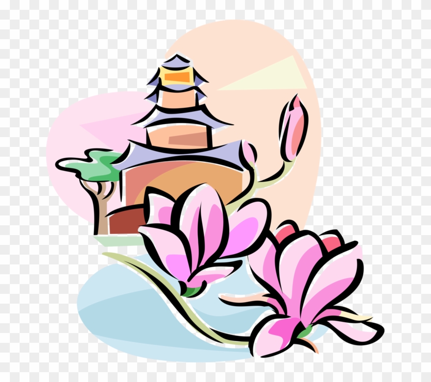 Vector Illustration Of Chinese Yulan Magnolia Flower - Vector Graphics Clipart