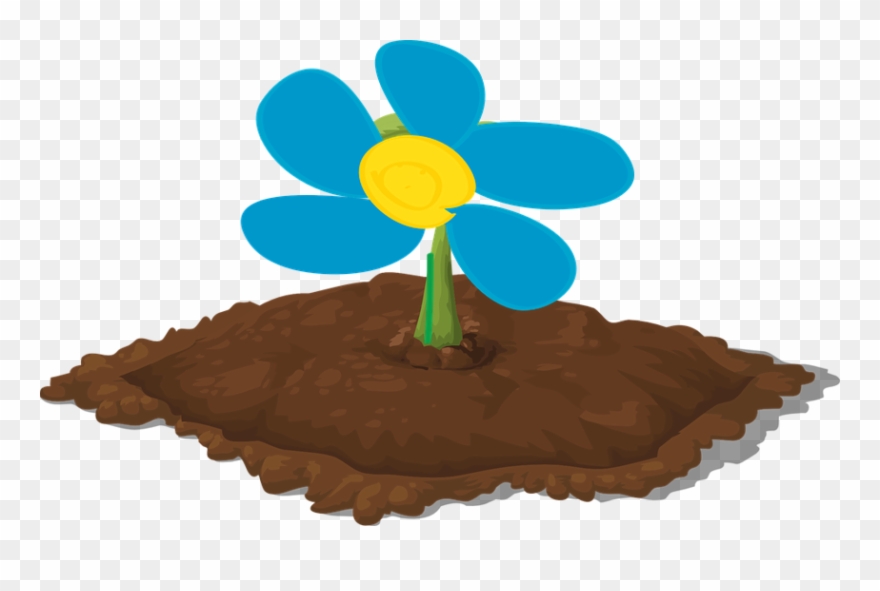 Soil Clipart Fertile Soil - Orange Seedling Clipart - Png Download