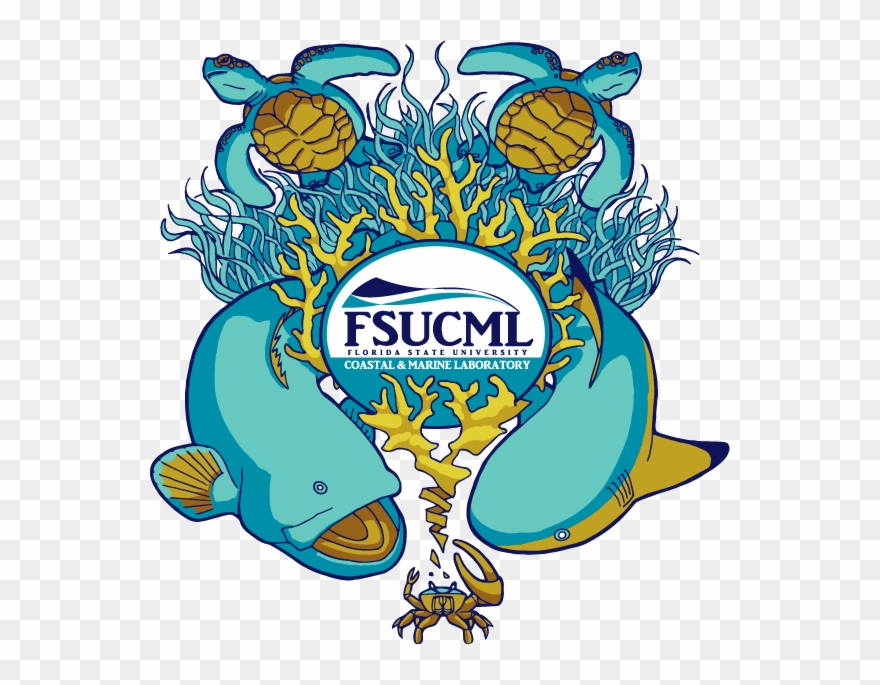 Urban Foraging - Florida State University Coastal And Marine Laboratory Clipart