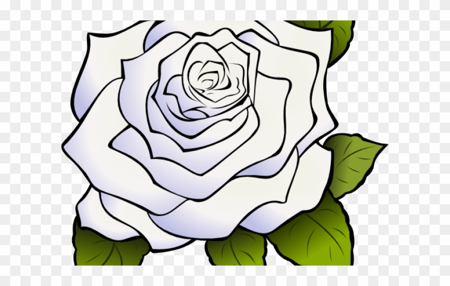 White Rose Clipart Animated - Clipart White Rose Transparent Background - Png Download