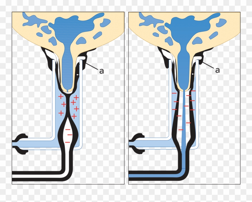 Zoom - Hệ Thống Vắt Sữa Clipart