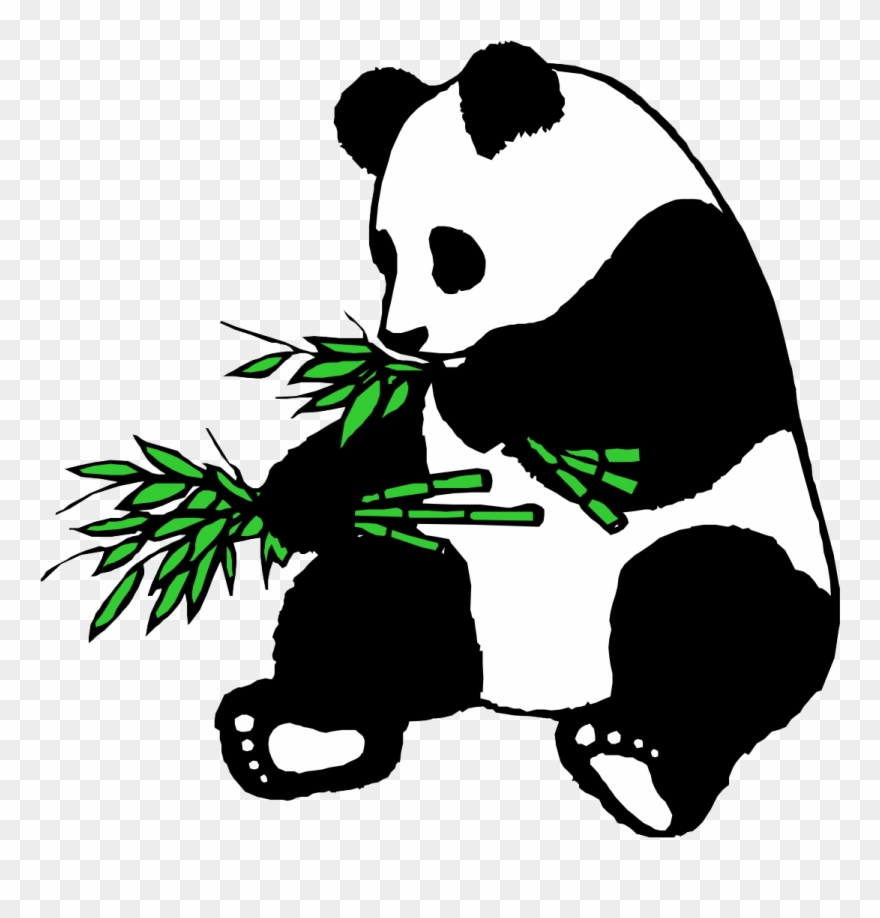 Panda - - Panda Eating Bamboo Clipart - Png Download