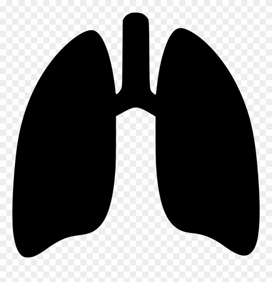 Picture Free Stock Clipart Red Cute Borders Vectors - Black And White Lung Clipart - Png Download