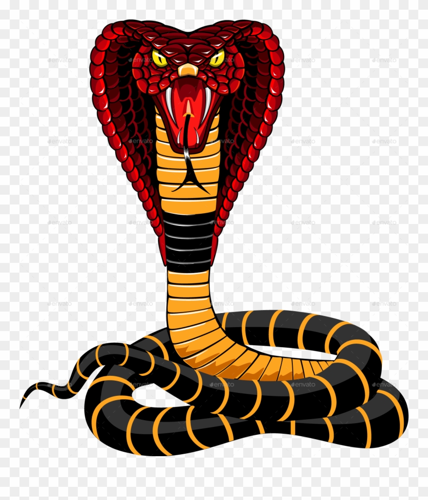 King Cobra Snake Png Clipart
