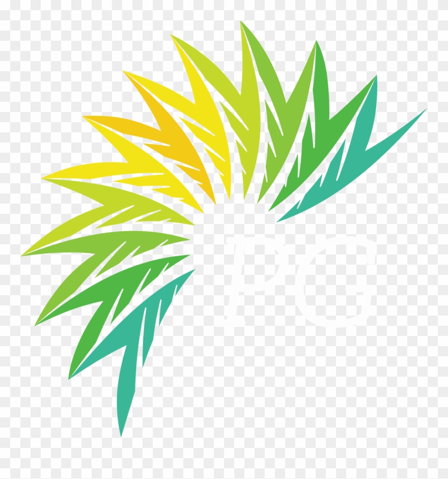 Palmetto Green And Snapcount Energy Retrofit Project - Carolina Ceramics, Llc Clipart