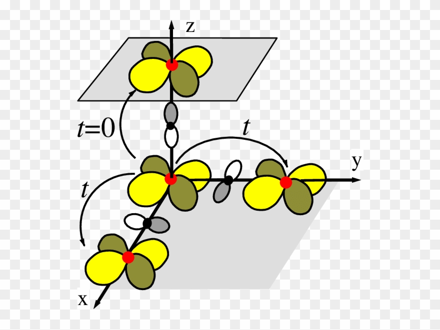 A Schematic View Of The Clipart
