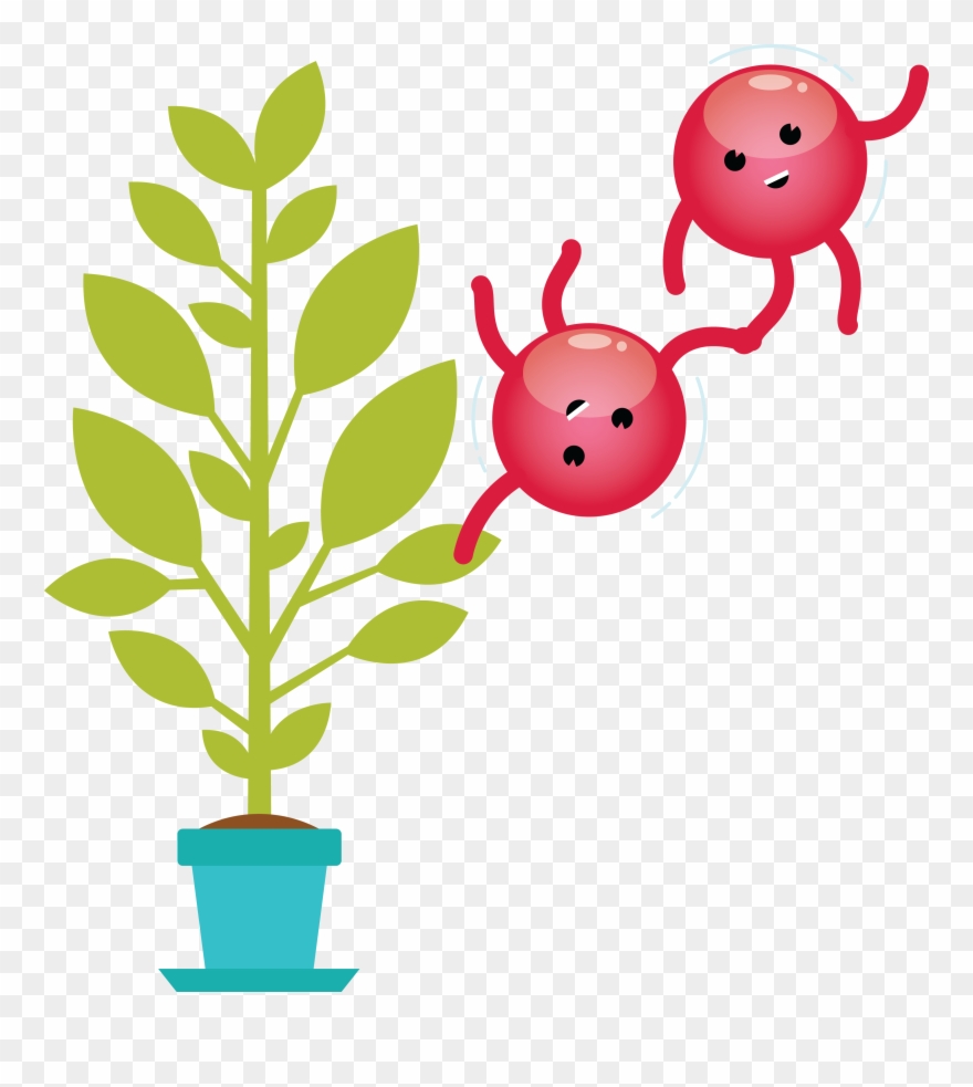 Download Oxygen Molecule And Plant Clipart