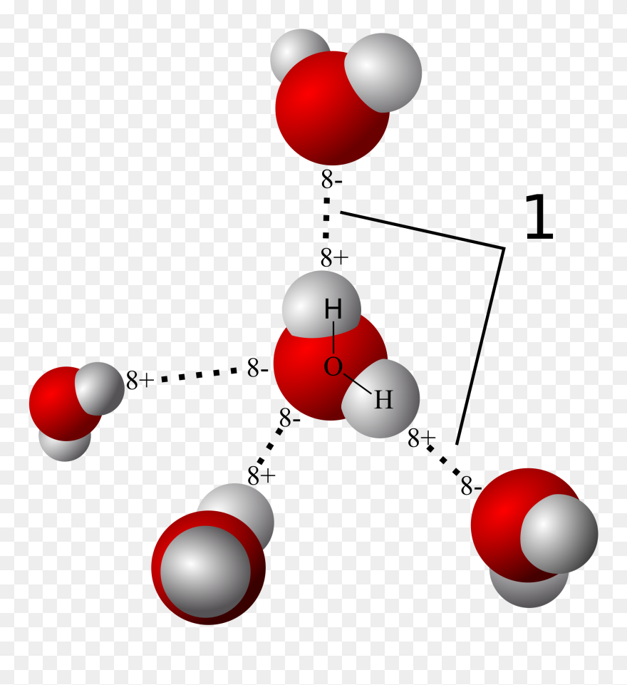 Hydrogen Bonding Clipart