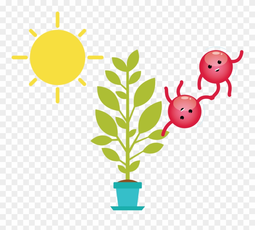 Download Oxygen Molecule With Plant And Sun Clipart