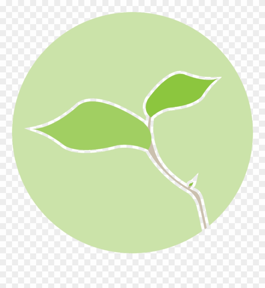 Ced 2014 19334 Mandala Final - Mandala Clipart