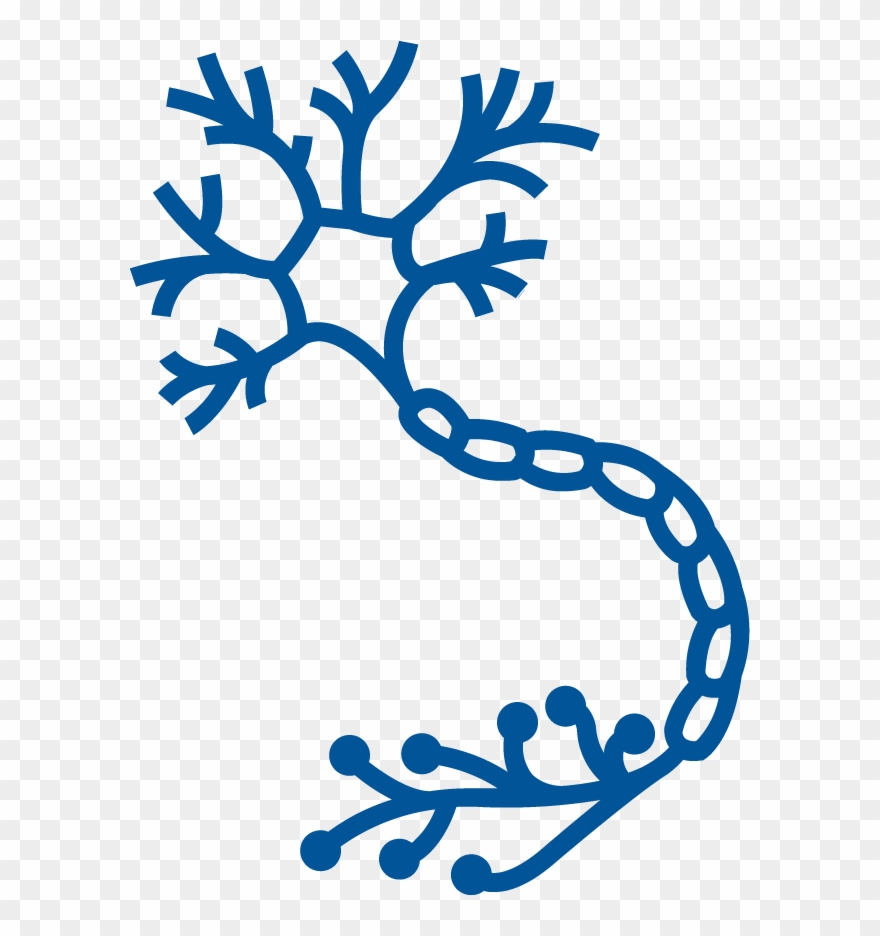 Size - - Nerve Icon Clipart