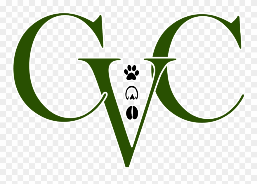Concordia Veterinary Clinic Now Offers An Online Pharmacy - Concordia Veterinary Clinic Clipart