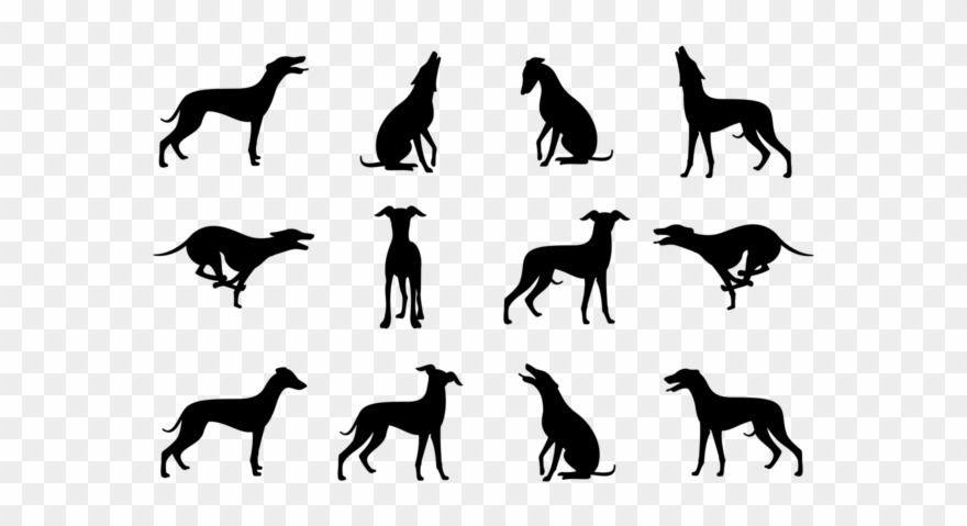 Greyhound Silhouette Clipart